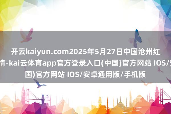 开云kaiyun.com2025年5月27日中国沧州红枣批发市集价钱行情-kai云体育app官方登录入口(中国)官方网站 IOS/安卓通用版/手机版