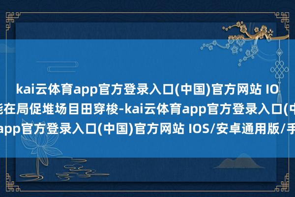kai云体育app官方登录入口(中国)官方网站 IOS/安卓通用版/手机版能在局促堆场目田穿梭-kai云体育app官方登录入口(中国)官方网站 IOS/安卓通用版/手机版
