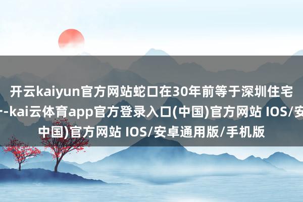 开云kaiyun官方网站蛇口在30年前等于深圳住宅最密集的片区之一-kai云体育app官方登录入口(中国)官方网站 IOS/安卓通用版/手机版