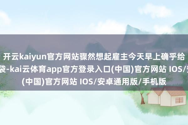 开云kaiyun官方网站骤然想起雇主今天早上确乎给我一个密封的文献袋-kai云体育app官方登录入口(中国)官方网站 IOS/安卓通用版/手机版