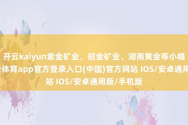 开云kaiyun紫金矿业、招金矿业、湖南黄金等小幅跟涨-kai云体育app官方登录入口(中国)官方网站 IOS/安卓通用版/手机版
