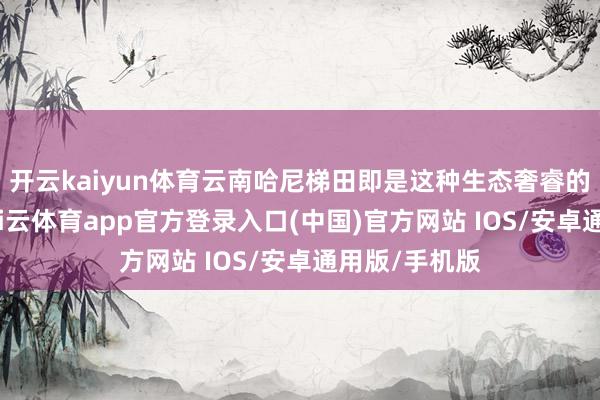 开云kaiyun体育云南哈尼梯田即是这种生态奢睿的了得代表-kai云体育app官方登录入口(中国)官方网站 IOS/安卓通用版/手机版