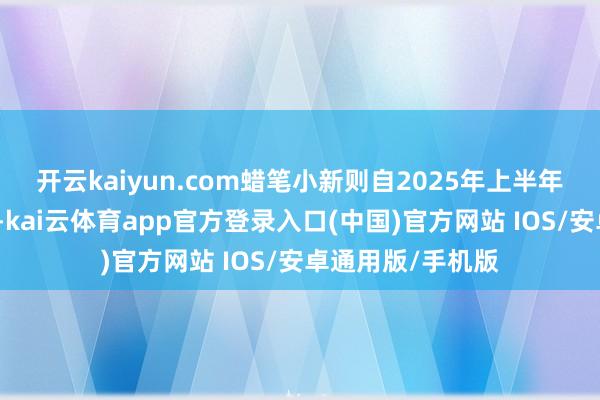 开云kaiyun.com蜡笔小新则自2025年上半年起成为新增长点-kai云体育app官方登录入口(中国)官方网站 IOS/安卓通用版/手机版